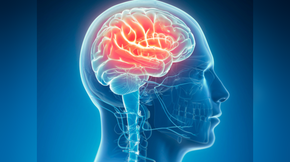 Brain being active during sleep.