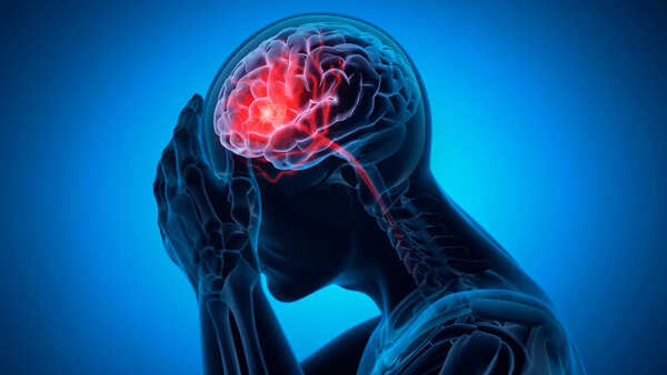Close-up of brain, highlighting regions important for decision-making