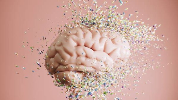 Brain scan showing potential link to criminal behavior